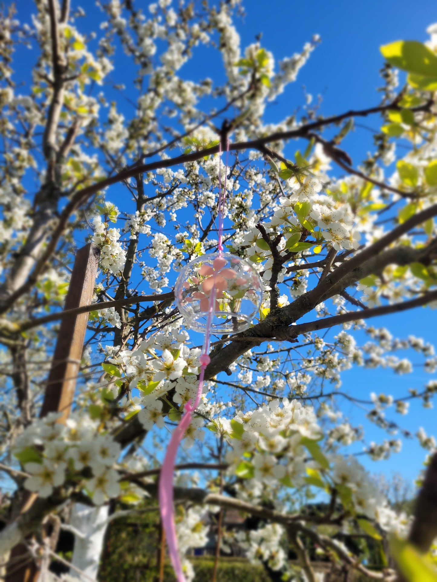 Windspiel Kirschblüten für Balkon und Garten